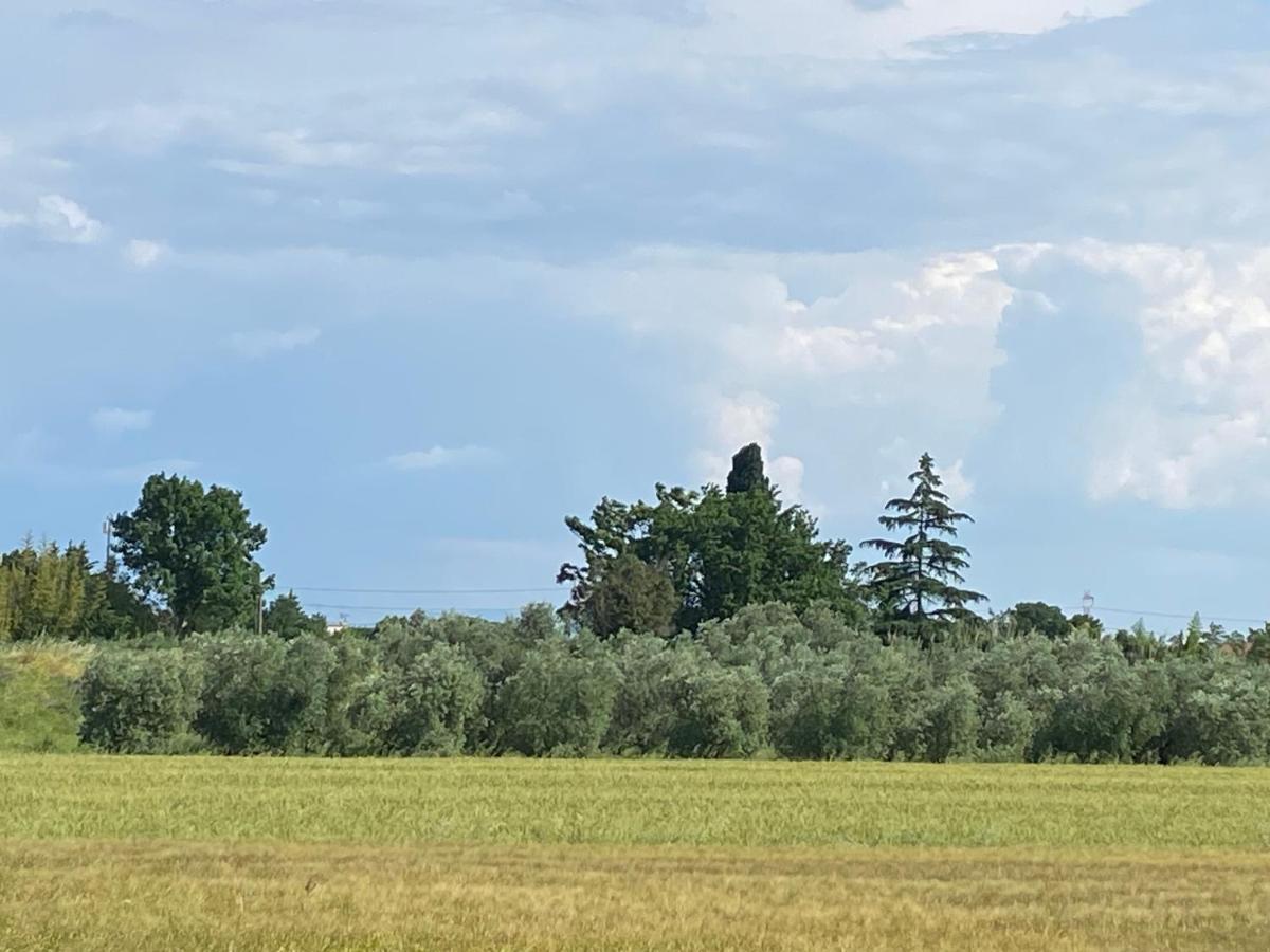 Accanto A Firenze Prato  Esterno foto