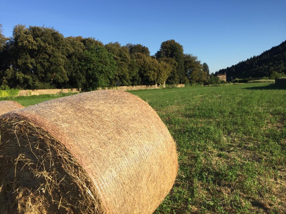 Accanto A Firenze Prato  Esterno foto