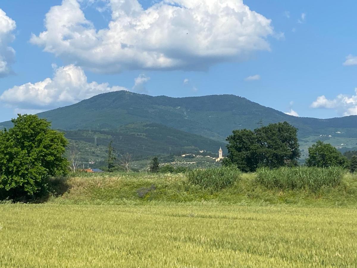 Accanto A Firenze Prato  Esterno foto