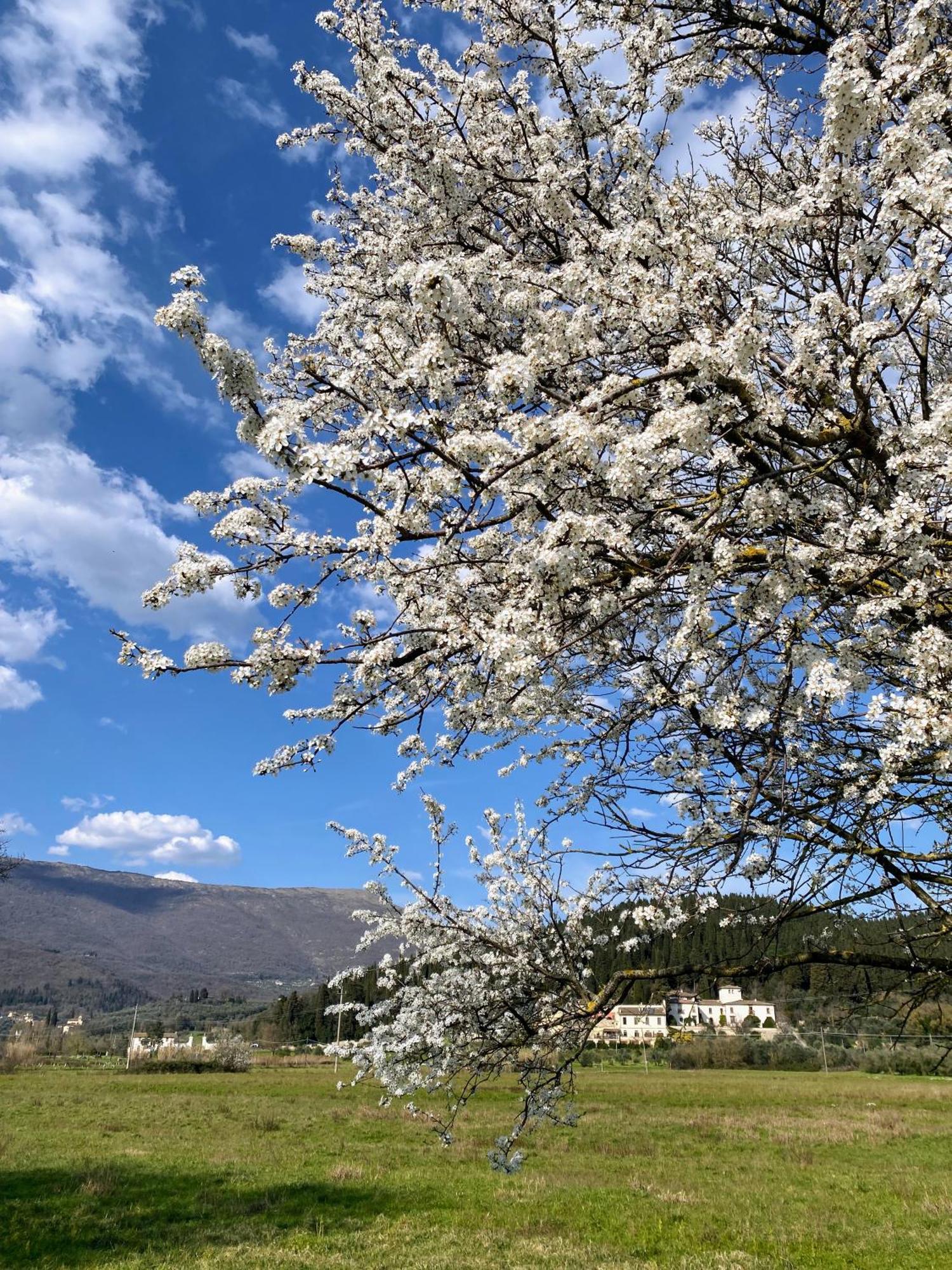 Accanto A Firenze Prato  Esterno foto
